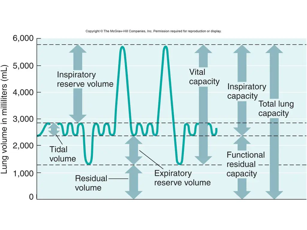 Inspiratory Reserve Volume